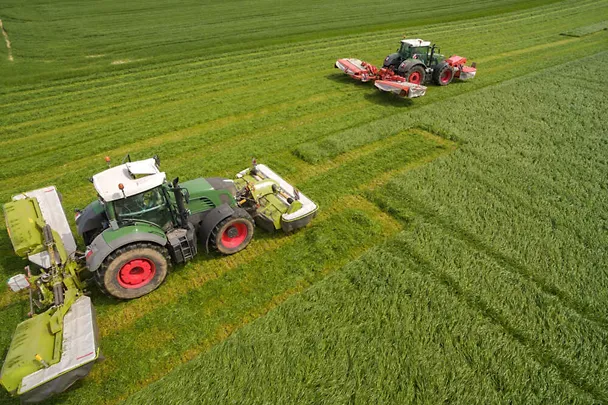 Grashäcksler Grashäcksler