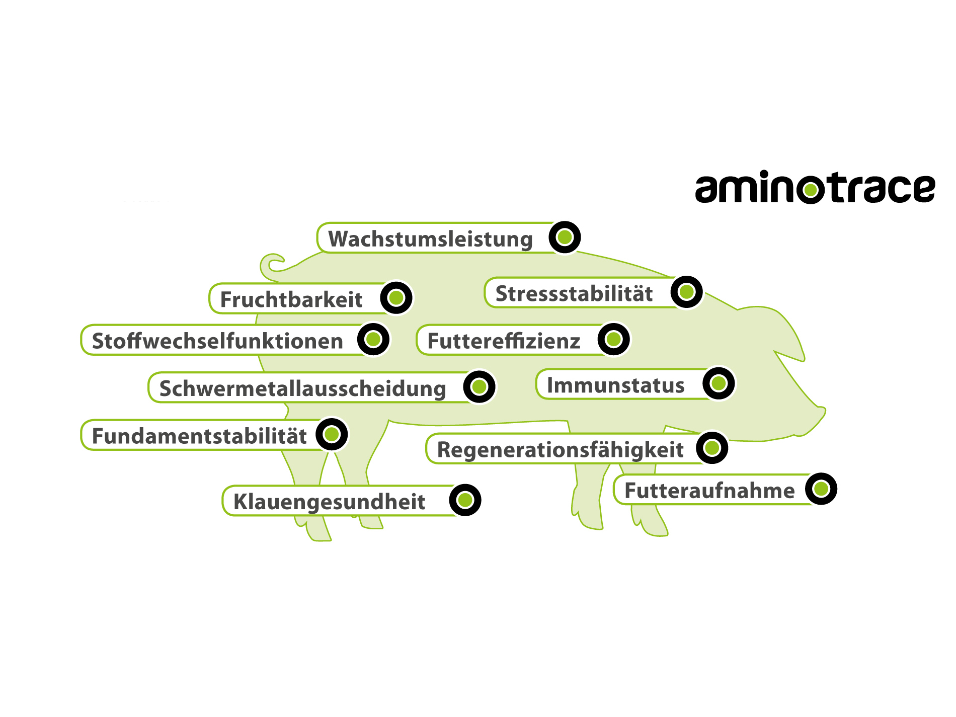 Wirkungsschwerpunkte Wirkungsschwerpunkte