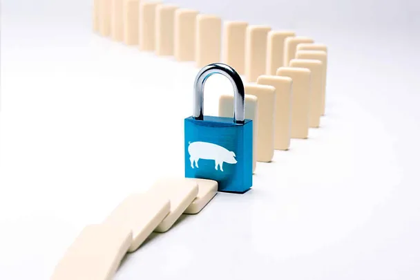 SCHAUMACID-Futtersäuren SCHAUMACID-Futtersäuren