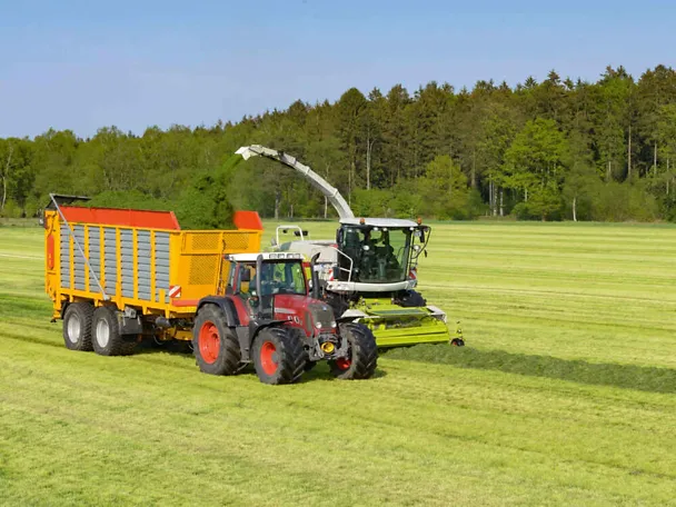 Grassilierung Grassilierung