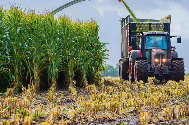 Trecker mit Mais Trecker mit Mais