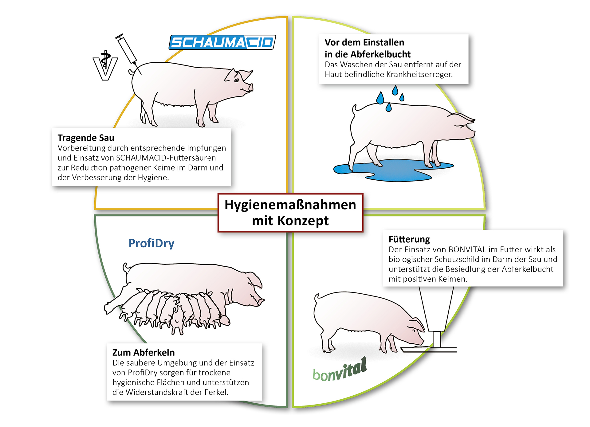 Hygienekonzept Hygienekonzept