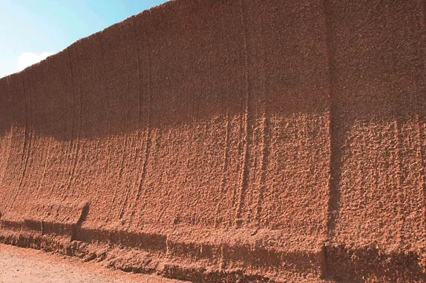 Sardinentechnik Sardinentechnik