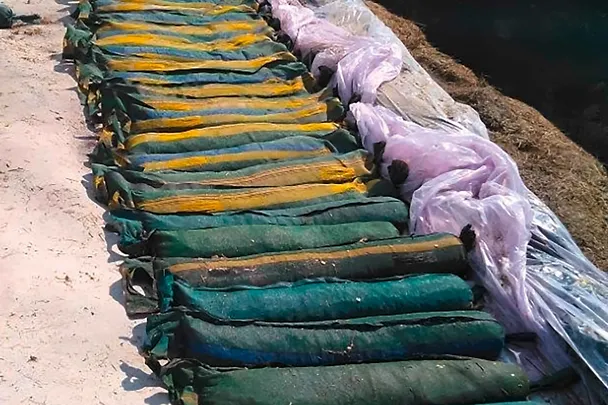 Sardinentechnik Sardinentechnik