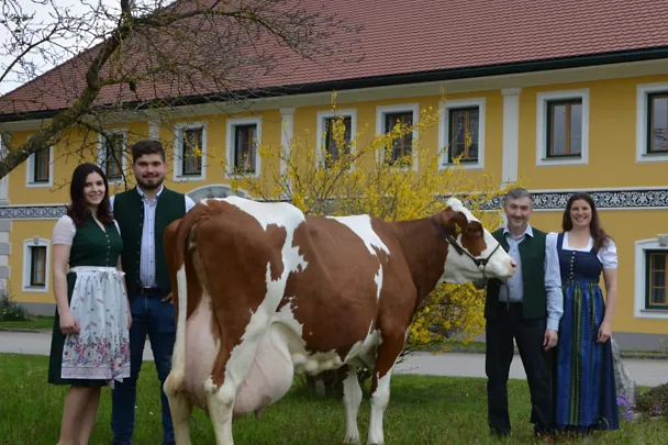 Betrieb Höritzauer Betrieb Höritzauer