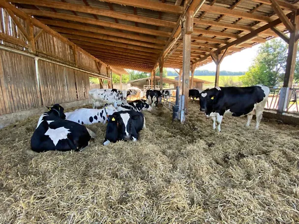 Betrieb Amtmann Betrieb Amtmann