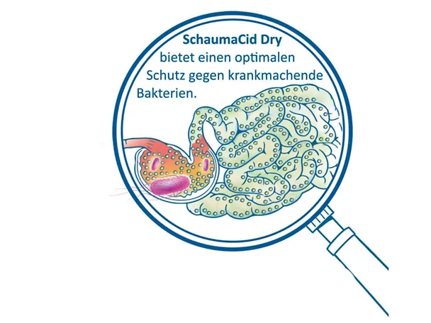 Wirkung von SCHAUMACID DRY im Darm Wirkung von SCHAUMACID DRY im Darm