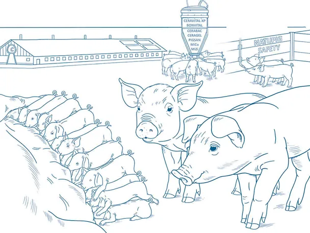 Ferkelaufzucht mit dem SCHAUMANN-Konzept Ferkelaufzucht mit dem SCHAUMANN-Konzept