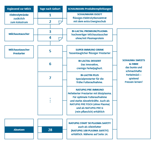 Das SCHAUMANN-Konzept zur Saugferkel-Beifütterung Das SCHAUMANN-Konzept zur Saugferkel-Beifütterung