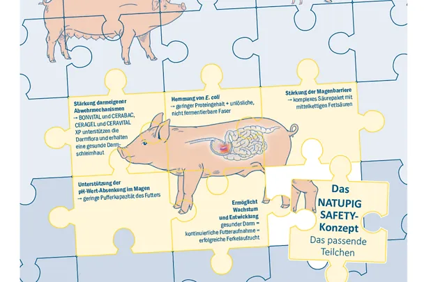 Die NATUPIG Safety-Linie unterstützt das Ferkel Die NATUPIG Safety-Linie unterstützt das Ferkel