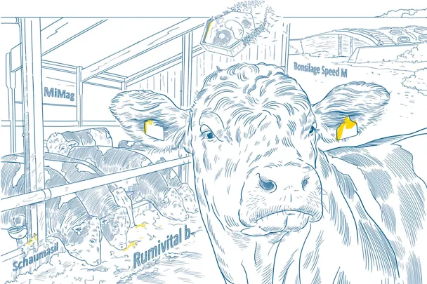 Produkte von SCHAUMANN für Bulllen Produkte von SCHAUMANN für Bulllen