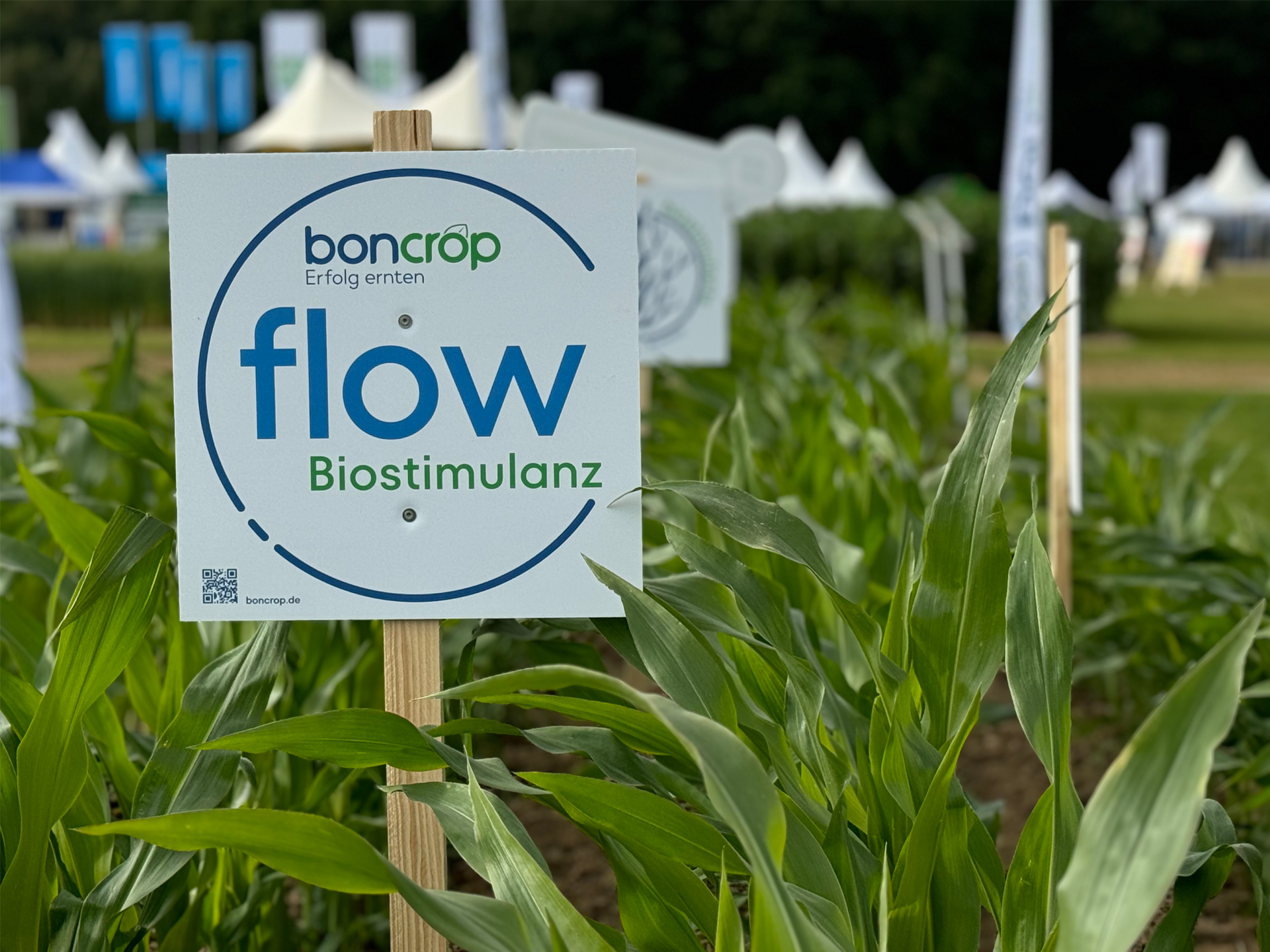 DLG Feldtage 2024 Schild boncrop flow Mais DLG Feldtage 2024 Schild boncrop flow Mais