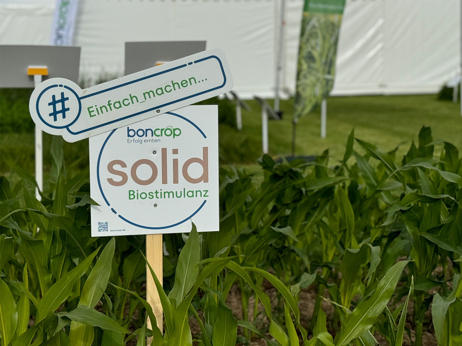 DLG Feldtage 2024 Schild boncrop solid Mais DLG Feldtage 2024 Schild boncrop solid Mais