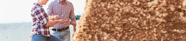 Zwei Personen untersuchen eine Portion Maissilage an einem Maissilo Zwei Personen untersuchen eine Portion Maissilage an einem Maissilo
